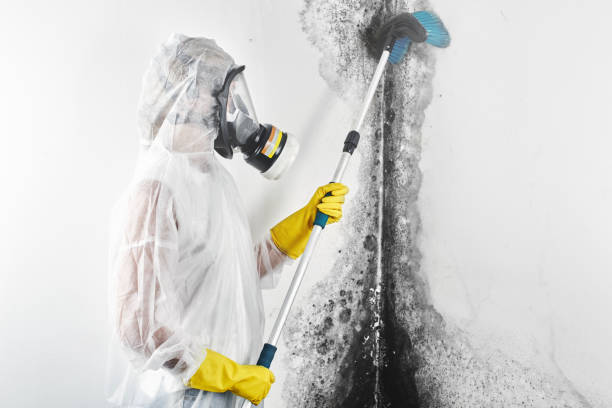 Best Indoor Air Quality Assessment  in Barnesville, GA