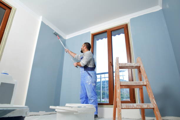 Best Post-Construction Mold Inspection  in Barnesville, GA
