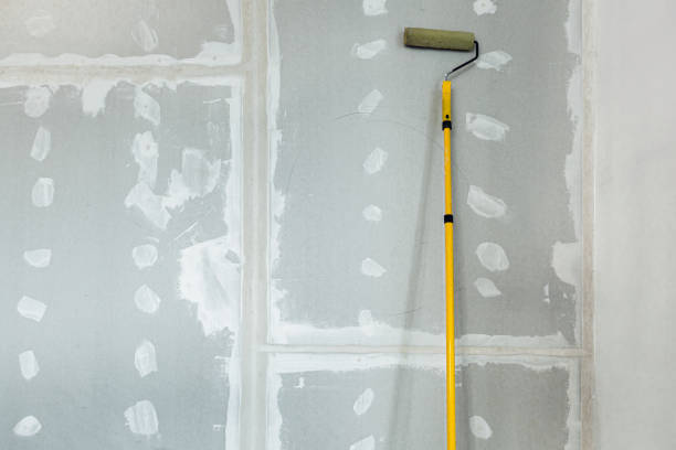 Best Mold Prevention Services  in Barnesville, GA