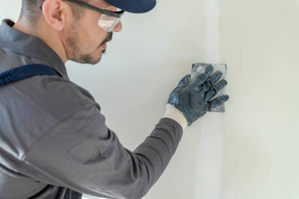 Best Mold Removal for HVAC Installations  in Barnesville, GA