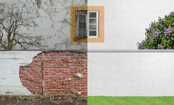  Barnesville, GA Mold Removal Pros