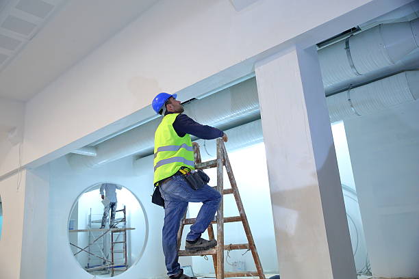 Best Mold Damage Restoration  in Barnesville, GA