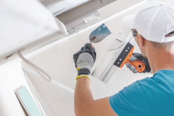 Best Mold Remediation for Healthcare Facilities  in Barnesville, GA